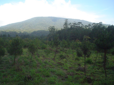 Survey GH I - 26.JPG