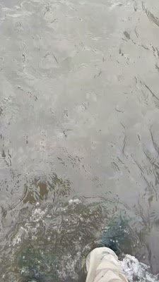 85550A7E-2080-4D63-B174-8007D504B4B7.mp4
