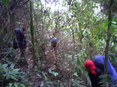 Survey PDA XIV Gunung Hutan dan SAR - 015.JPG