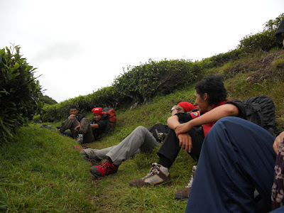 DSCN1402.JPG
