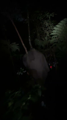IMG_6681.MOV
