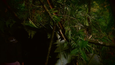DSCF6506.MOV