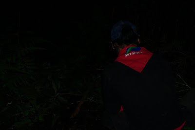 DSC07878.JPG