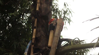 MVI_0486.MOV