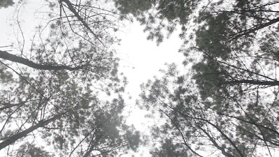 MVI_9874.MOV