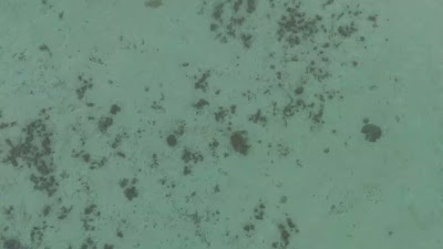 DJI_20250511064427_0035_D.LRF