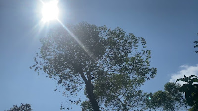 IMG_1124.MOV