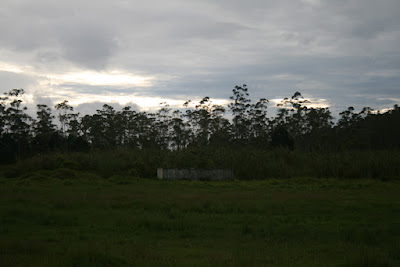 IMG_1333.jpg