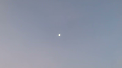 IMG_1779.MOV