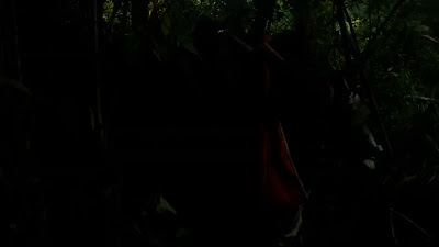 DSCF6503.MOV