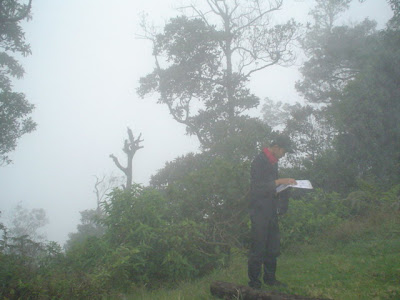 DSC01397.JPG