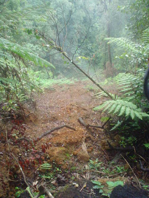 DSC01384.JPG