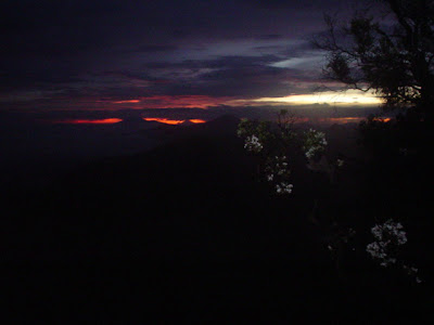 DSC02068.JPG