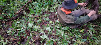 IMG20230128105328.jpg