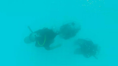 GX017891.MP4