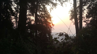MVI_4770.MP4