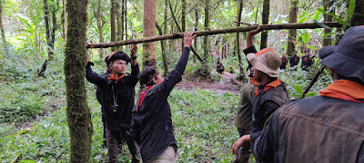 IMG20230128105244.jpg