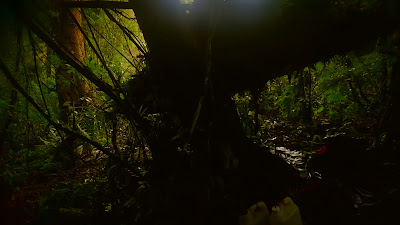 DSCF6511.MOV