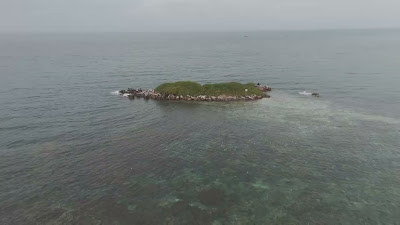 DJI_20250511064845_0039_D.LRF