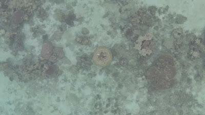 DJI_20250512072543_0073_D.MP4