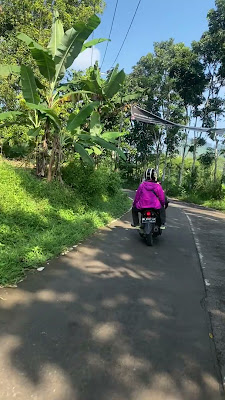 IMG_0998.MOV
