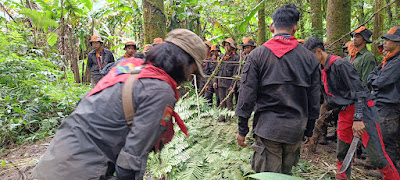 IMG20230128103536.jpg