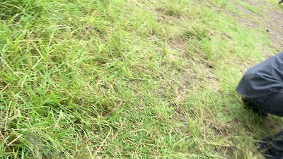 IMG_4599.MOV