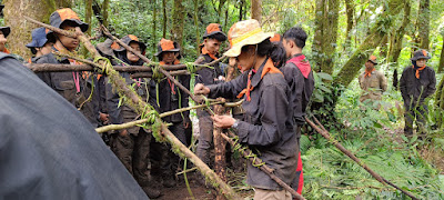 IMG20230128102500.jpg