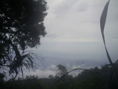 S3020029.JPG