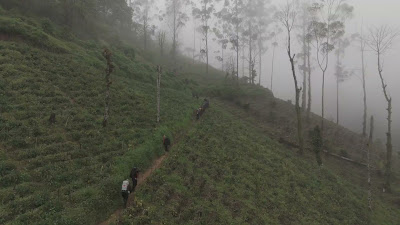 DJI_20260121111919_0169_D.MP4
