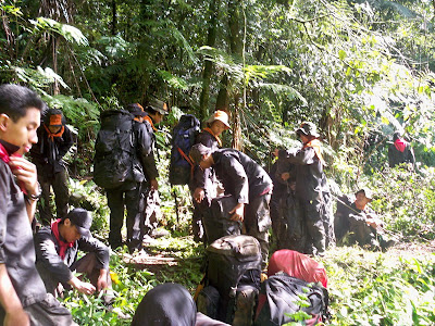 Sampul folder Survival