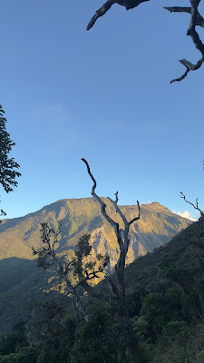 IMG_4201.DNG