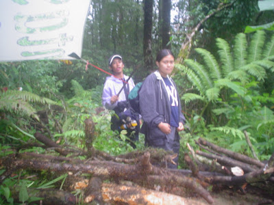 Survey PDA XIII Survival - 015.JPG
