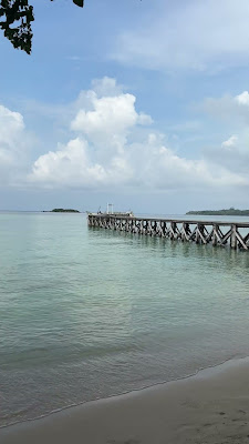 IMG_5069.MOV