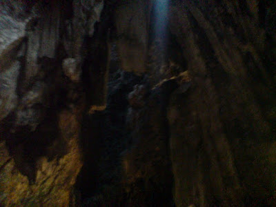 DSC00113.jpg