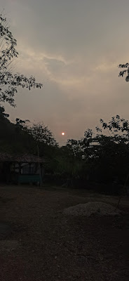 IMG_20230725_171933.jpg