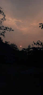 IMG_20230725_171927.jpg
