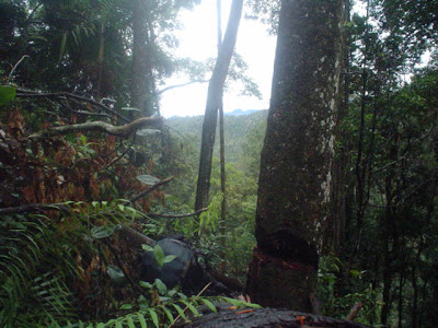 DSC02794.JPG