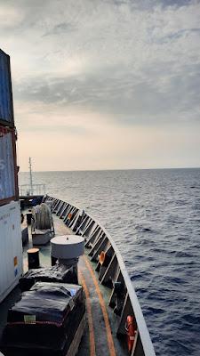 20250716_071526.jpg