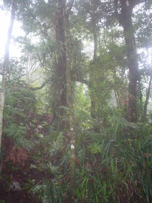 DSC01383.JPG