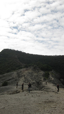 IMG_0915.jpg