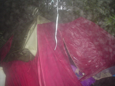DSC07705.JPG