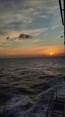 20250717_054041.jpg