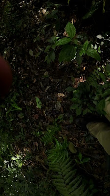 DJI_0133_001.MP4