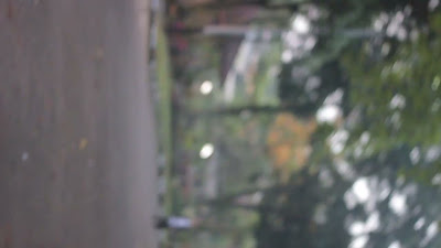 MVI_6498.MOV