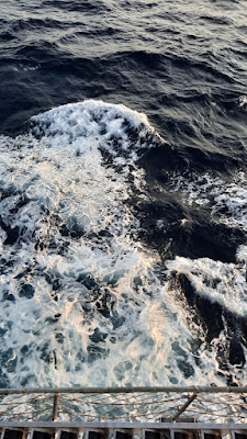 20250717_055536.jpg