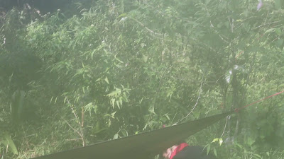 MVI_4793.MP4