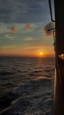 20250717_054512.jpg