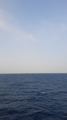 20250716_071206.jpg