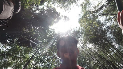 DJI_0502.MOV